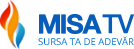 logo-mstv-2014